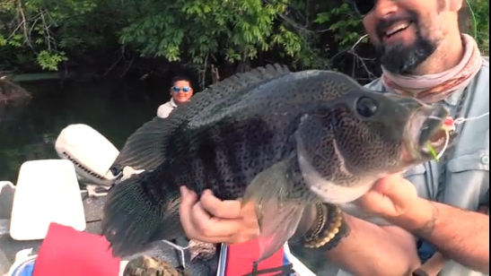 VIDEO: GEOBASS Nicaragua